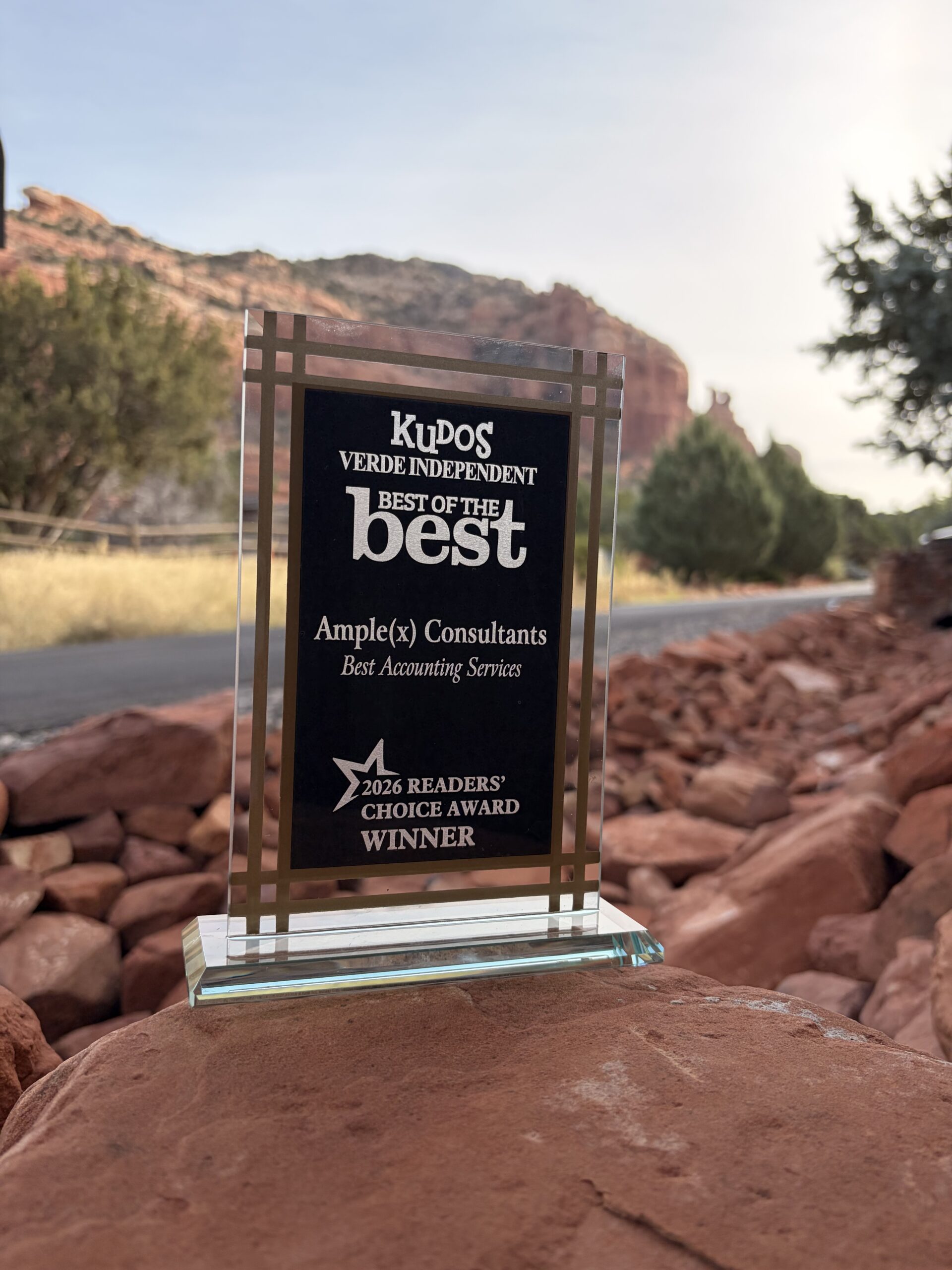 AmpleX Consultants Kudos Best Accounting Services Award